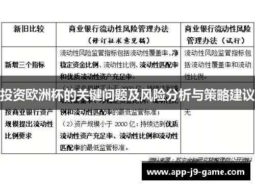 投资欧洲杯的关键问题及风险分析与策略建议