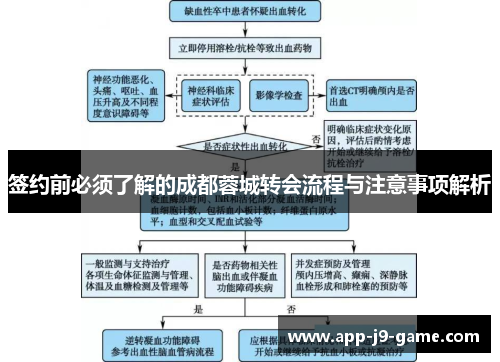 签约前必须了解的成都蓉城转会流程与注意事项解析 签约前必须了解的成都蓉城转会流程与注意事项解析