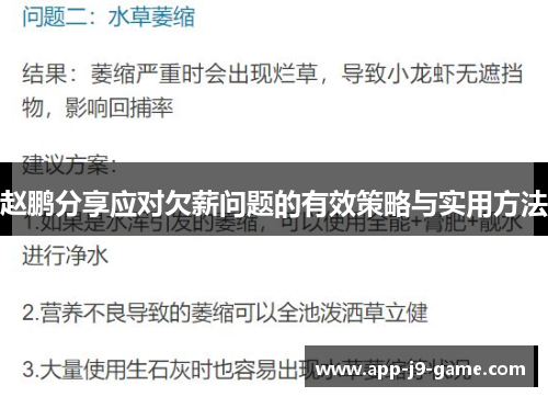 赵鹏分享应对欠薪问题的有效策略与实用方法 赵鹏分享应对欠薪问题的有效策略与实用方法