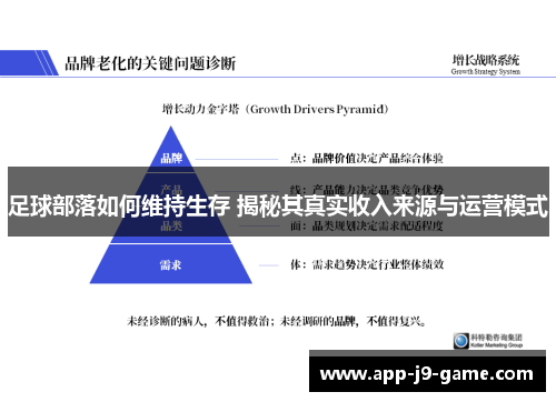 足球部落如何维持生存 揭秘其真实收入来源与运营模式